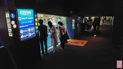 Osaka aquarium - Die besten Osaka aquarium verglichen