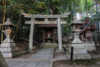 Shorenin Temple, Kyoto