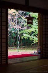 Kotoin, Subtemple of Daitokuji, Kyoto