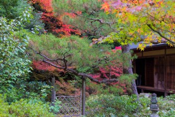 Kotoin, Subtemple of Daitokuji, Kyoto