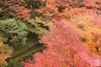 Suche nach <a href="/?s=Tofukuji Temple, Kyoto">"Tofukuji Temple, Kyoto" auf JAKYO</a>.<br>Informationen zur <a href="https://japan-kyoto.de/japan-bilder-fotografien/">Nutzung und Lizenz</a>. ©Christian Kaden