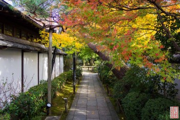 Suche nach <a href="/?s=Taizoin, subtemple of Myoshinji, Kyoto">"Taizoin, subtemple of Myoshinji, Kyoto" auf JAKYO</a>.<br>Informationen zur <a href="https://japan-kyoto.de/japan-bilder-fotografien/">Nutzung und Lizenz</a>. ©Christian Kaden
