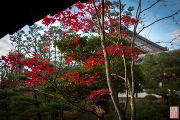 Suche nach <a href="/?s=Tofukuji temple, Tsutenkyo and Kaisando, Kyoto">"Tofukuji temple, Tsutenkyo and Kaisando, Kyoto" auf JAKYO</a>.<br>Informationen zur <a href="https://japan-kyoto.de/japan-bilder-fotografien/">Nutzung und Lizenz</a>. ©Christian Kaden