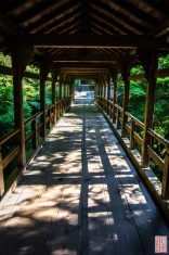 Suche nach <a href="/?s=Engetsukyo-Bridge, Tofukuji, Kyoto">"Engetsukyo-Bridge, Tofukuji, Kyoto" auf JAKYO</a>.<br>Informationen zur <a href="https://japan-kyoto.de/japan-bilder-fotografien/">Nutzung und Lizenz</a>. ©Christian Kaden