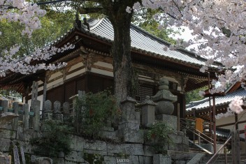 Temple Konkaikomyoji, Kyoto