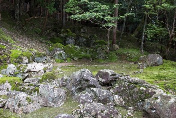 Kokedera - the Temple of Moss