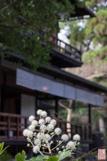 Suche nach <a href="/?s=Tea House Shusuitei at Kyoto Gyoen Park">"Tea House Shusuitei at Kyoto Gyoen Park" auf JAKYO</a>.<br>Informationen zur <a href="https://japan-kyoto.de/japan-bilder-fotografien/">Nutzung und Lizenz</a>. ©Christian Kaden
