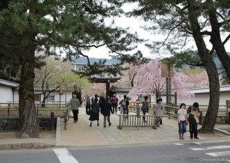 Daigoji temple, Kyoto<br>Date taken: 16.04.2012 10:58:58.<br>Informationen zur <a href="https://japan-kyoto.de/japan-bilder-fotografien/">Nutzung und Lizenz</a>. ©Christian Kaden (Jakyo)