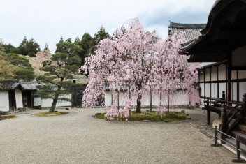 Daigoji temple, Kyoto<br>Date taken: 16.04.2012 11:12:19.<br>Informationen zur <a href="https://japan-kyoto.de/japan-bilder-fotografien/">Nutzung und Lizenz</a>. ©Christian Kaden (Jakyo)