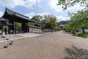 Daigoji temple, Kyoto<br>Date taken: 02.05.2019 10:00:20.<br>Informationen zur <a href="https://japan-kyoto.de/japan-bilder-fotografien/">Nutzung und Lizenz</a>. ©Christian Kaden (Jakyo)