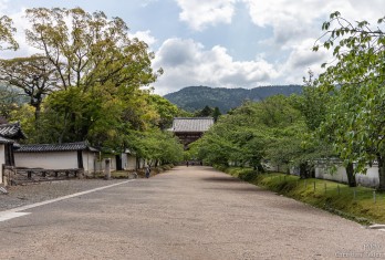 Daigoji temple, Kyoto<br>Date taken: 02.05.2019 10:01:30.<br>Informationen zur <a href="https://japan-kyoto.de/japan-bilder-fotografien/">Nutzung und Lizenz</a>. ©Christian Kaden (Jakyo)