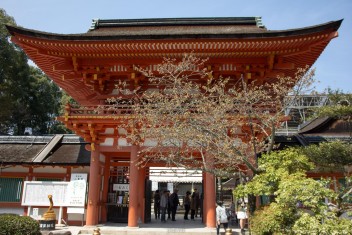 Kamigamo Shrine 2013