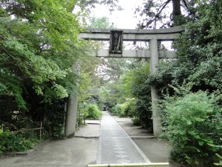 Nashinoki Shrine in Kyoto, 2010