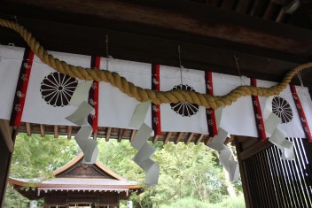 Nashinoki Shrine in Kyoto, 2011