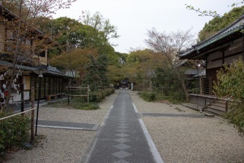 Nashinoki Shrine in Kyoto, 2013