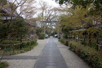 Nashinoki Shrine 2013