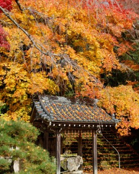 Konzoji temple, Kyoto
