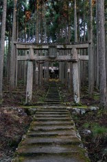 Kamo Shrine, Kyoto (Ukyo)
