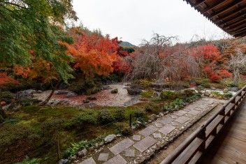 Hokyoin temple, Arashiyama, Kyoto