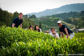 Tea fields in Wazuka, Japan<br>Date taken: 23.05.2016 17:12:09.<br>Informationen zur <a href="https://japan-kyoto.de/japan-bilder-fotografien/">Nutzung und Lizenz</a>. ©Christian Kaden (Jakyo)