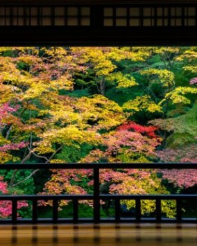 Rurikoin-Tempel, die schönste Herbstansicht Kyotos