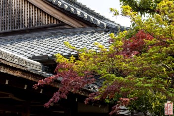 Suche nach <a href="/?s=Temple Ninnaji, Kyoto">"Temple Ninnaji, Kyoto" auf JAKYO</a>.<br>Informationen zur <a href="https://japan-kyoto.de/japan-bilder-fotografien/">Nutzung und Lizenz</a>. ©Christian Kaden