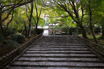 Ryoanji Temple, Kyoto