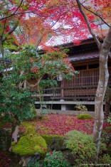 Shojiji Tempel, Kyoto