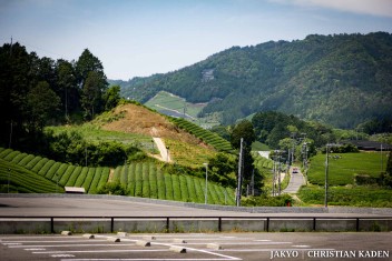 Tea fields in Wazuka, Japan<br>Date taken: 23.05.2016 11:02:07.<br>Informationen zur <a href="https://japan-kyoto.de/japan-bilder-fotografien/">Nutzung und Lizenz</a>. ©Christian Kaden (Jakyo)