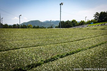 Tea fields in Wazuka, Japan<br>Date taken: 23.05.2016 11:57:13.<br>Informationen zur <a href="https://japan-kyoto.de/japan-bilder-fotografien/">Nutzung und Lizenz</a>. ©Christian Kaden (Jakyo)