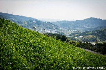 Tea fields in Wazuka, Japan<br>Date taken: 23.05.2016 12:06:40.<br>Informationen zur <a href="https://japan-kyoto.de/japan-bilder-fotografien/">Nutzung und Lizenz</a>. ©Christian Kaden (Jakyo)