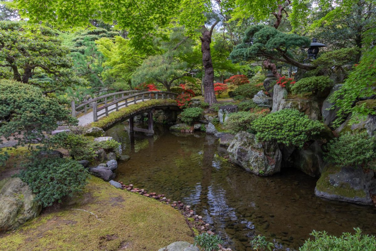 Kyoto Gosho imperial Palace / J2019, Japan, Kansai, Kioto, Kyoto, 京都, 日本, 関西