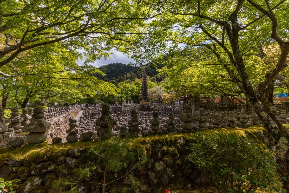 Adashino Nenbutsuji temple, Kyoto / J2019, Japan, Kansai, Kioto, Kyoto, 京都, 日本, 関西