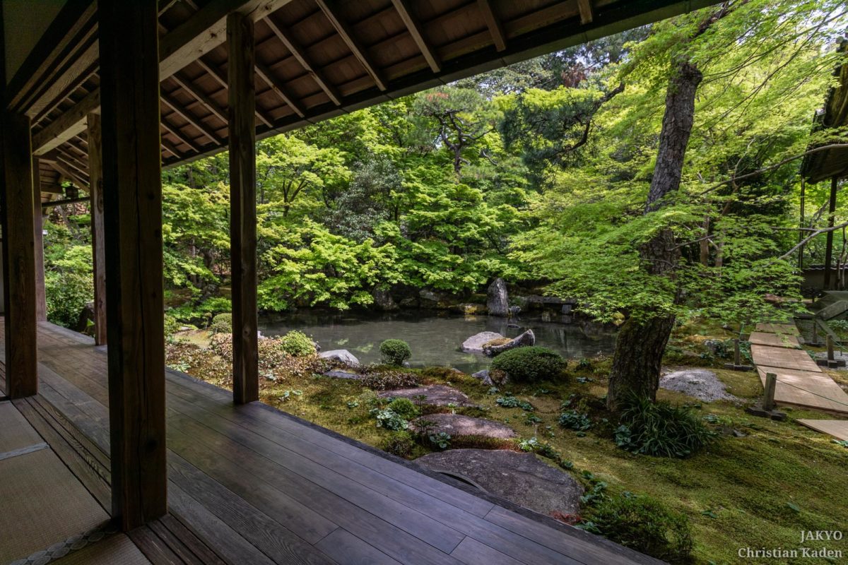 Rengeji temple, Kyoto / J2019, Japan, Kansai, Kioto, Kyoto, 京都, 日本, 関西