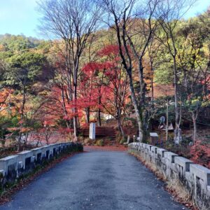 Japan, Kyushu, 九州, 日本