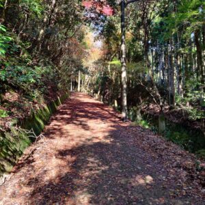 Japan, Kyushu, 九州, 日本