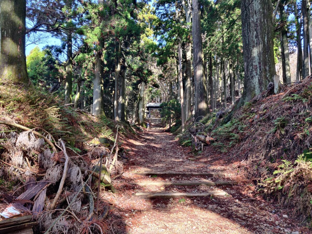 Japan, Kyushu, 九州, 日本