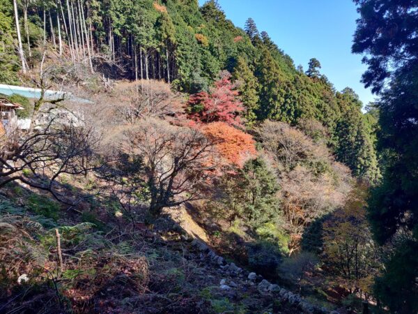 Japan, Kyushu, 九州, 日本