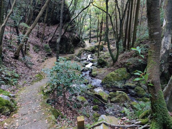 Japan, Kyushu, 九州, 日本