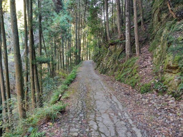 Japan, Kyushu, 九州, 日本