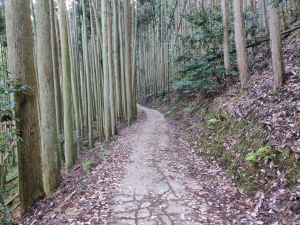 Japan, Kyushu, 九州, 日本