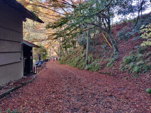 Japan, Kyushu, 九州, 日本