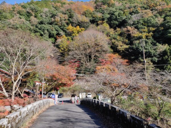 Japan, Kyushu, 九州, 日本