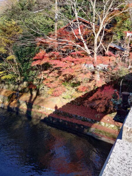 Japan, Kyushu, 九州, 日本